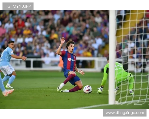 足球明星精彩瞬间全景展示及其背后的故事合集